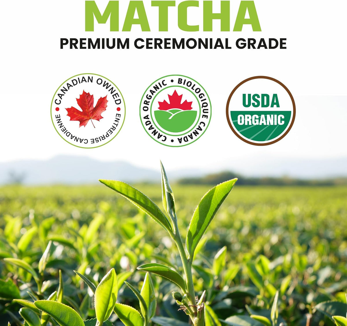 Organic Matcha Green Tea Powder – Ceremonial Grade – 50g Tin | Premium Japanese Green Tea | Smooth & Vibrant | Superfood for Lattes, Smoothies & Baking